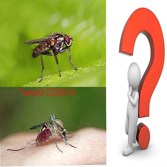 هل ينتشر الكوفيد -19 عبر الذباب أو البعوض؟